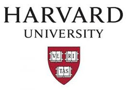 Logo 20